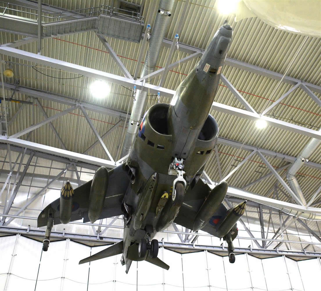 harrier
